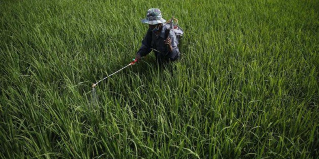 Why rural Indonesia is ripe for investment