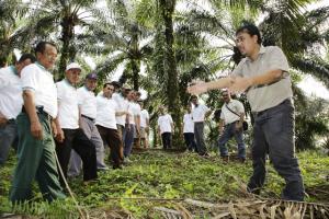 Smallholder training