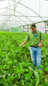 Tim Fenton, Deputy Head of Kerinci Central Nursery for RAPP - Nurseryman