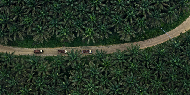 Unlocking the Rural Potential in Indonesia