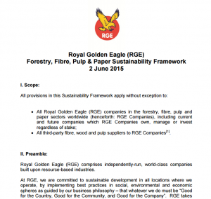 RGE Sustainability Framework