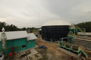 Asian Agri biogas power plant in Buatan, Riau.