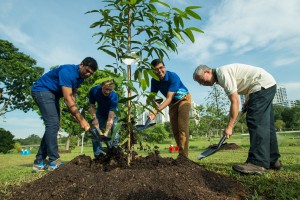 Tree planting at Bishan-Ang Mo Kio Park