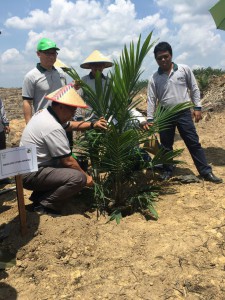 BPDPKS' Bayu Krisnamurthi, joined by Asian Agri Managing Director Kelvin Tio, inaugurates the replanting programme 