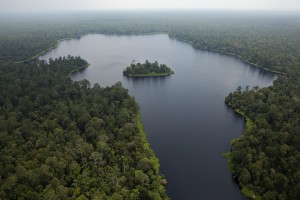 Restorasi Ekosistem Riau