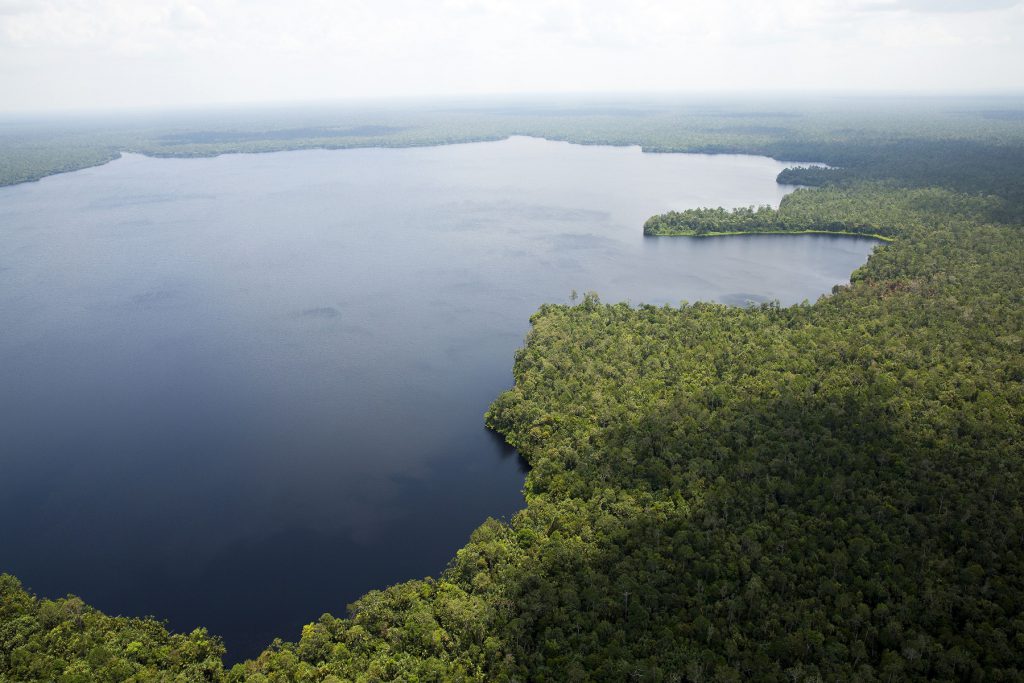 Restorasi Ekosistem Riau