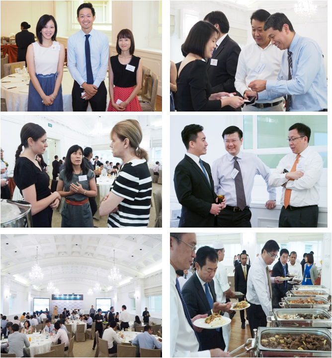 Apical Group Business Sustainability Briefing Collage