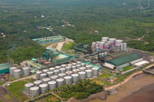 Apical's refinery in Dumai