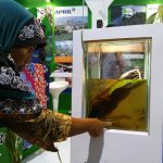 RAPP Pelalawan Expo 2016 Aquarium