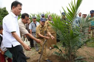 Mr. Rizal, Regional Secretariat of Batanghari District, Jambi, conducts first oil palm tree planting to mark the inauguration of Sekolah Sawit Lestari program in Indonesia