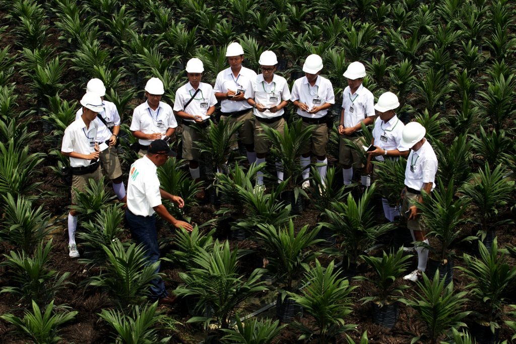 Asian-Agri-Learning-Institute AALI