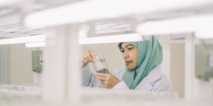 Culture of Innovation: APRIL Opens Kerinci Tissue Culture Lab