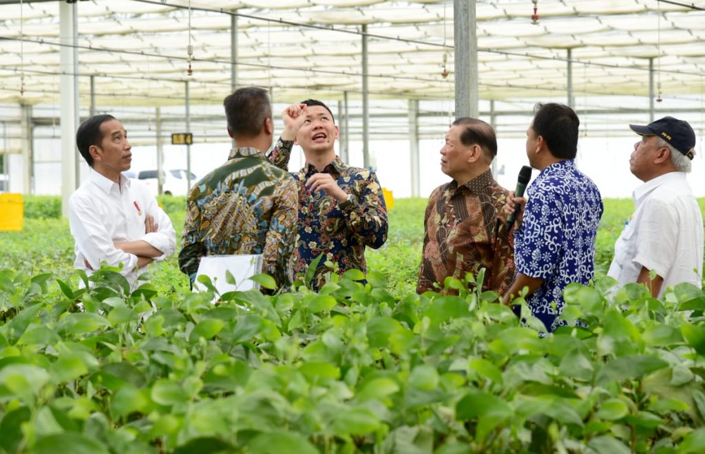 RGE Director Anderson Tanoto explains the workings of APRIL's nurseries to Indonesia President Jokowi.