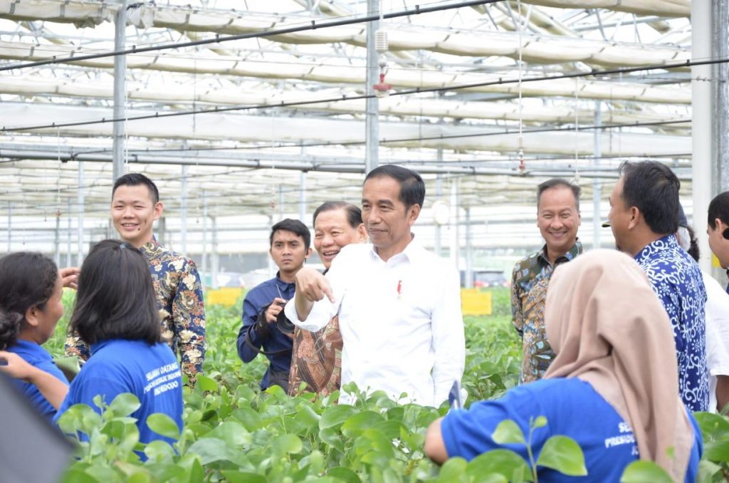 President Jokowi and Anderson Tanoto at APRIL Group PT RAPP Nursery