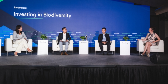 Bloomberg Sustainable Business Summit 2022: Investing in biodiversity paves the way for a nature-positive future