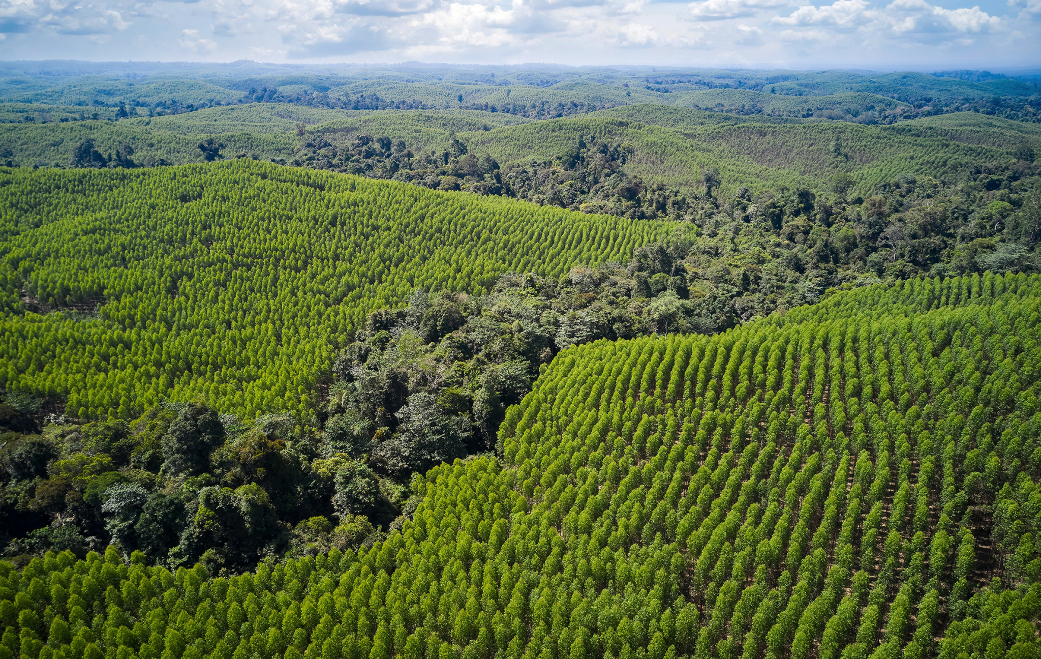 Why Progress Beats Perfection in Safeguarding Nature and Biodiversity ...