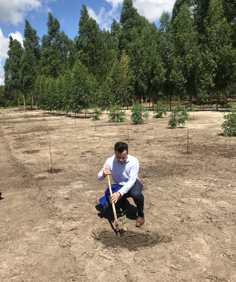 Ryan Tay planting a seedling into the field in Brazil