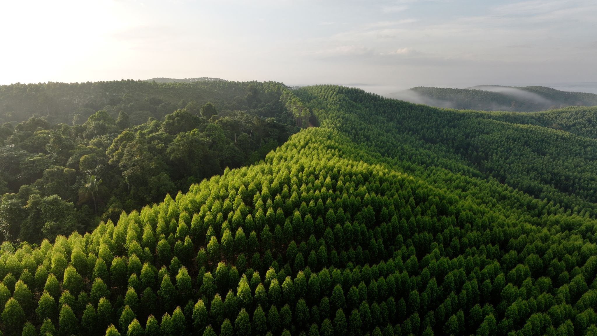 Conservation areas managed by APRIL in Indonesia.