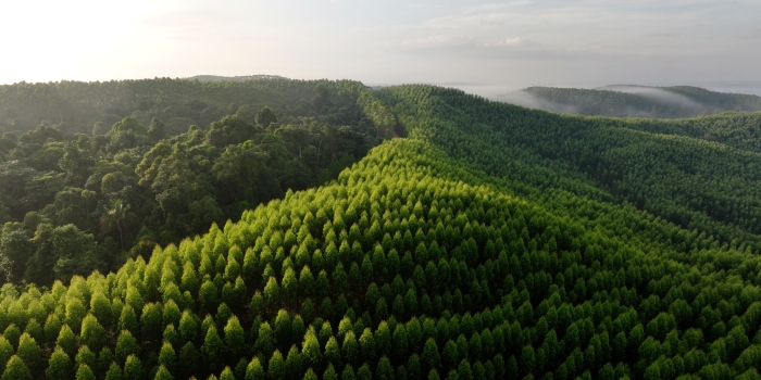 Building the Future Through Nature Investment